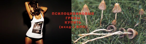 jwh Алзамай