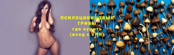 jwh Алзамай