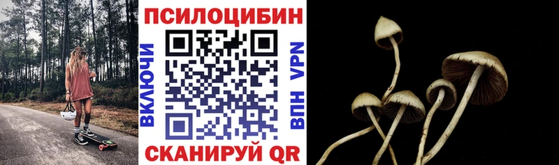 цена наркотик  Зуевка  Галлюциногенные грибы Psilocybe 