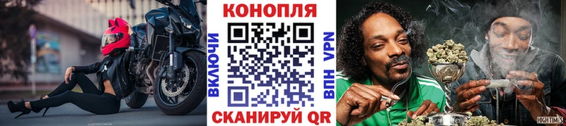 Марихуана гибрид  Зуевка 